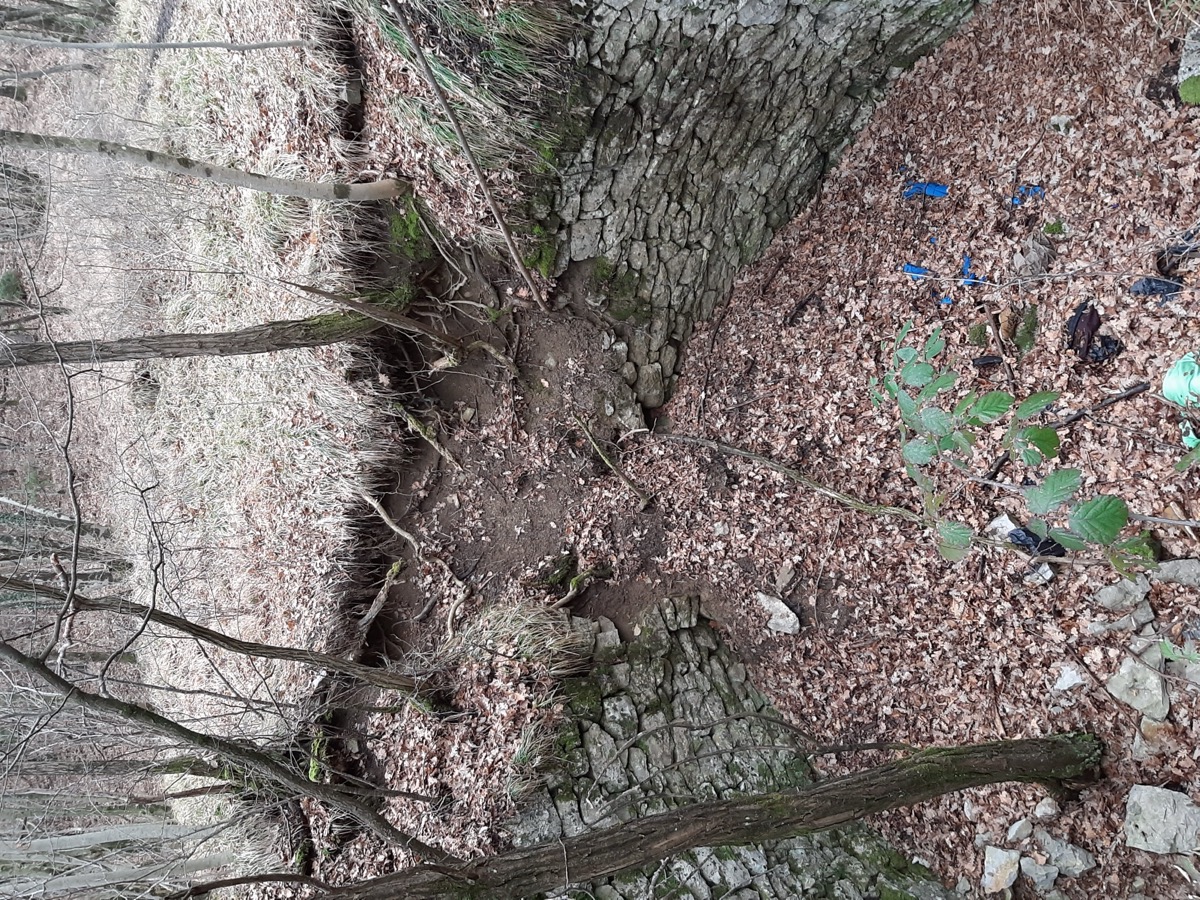 Stato iniziale della ghiacciaia prima dell'intervento